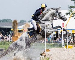 Springpferd Forstmeister (Trakehner, 2006, von Ulexis)