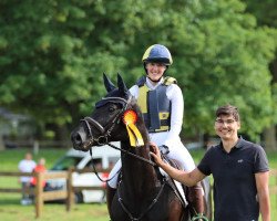 jumper Gianduia (Trakehner, 2012, from Tarison)