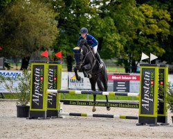 jumper Joker of Love (Belgian Warmblood, 2015, from Diacasall)