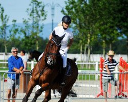 Springpferd Cool in Berlin (Belgisches Warmblut, 2007, von Berlin)