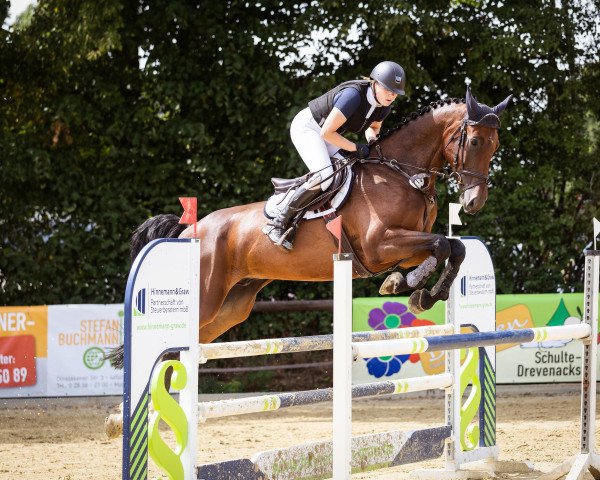 jumper Chapco (German Sport Horse, 2015, from Chap II)