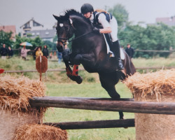 broodmare Maori (German Warmblood, 1986, from Mambo)