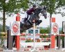 jumper Coupie Cool (Oldenburg show jumper, 2016, from Coupie)