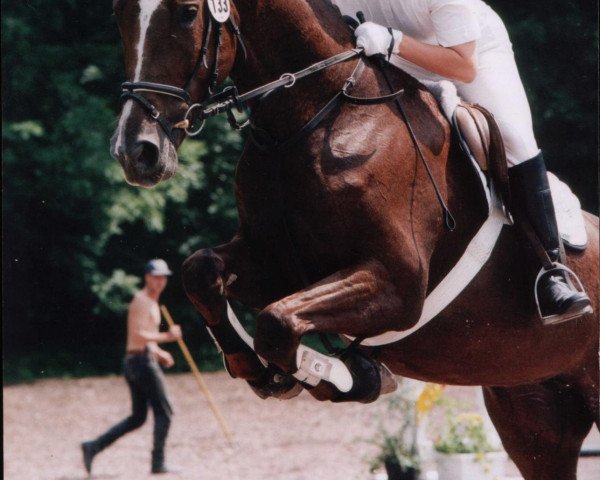 horse Delayla (Bavarian, 1991, from Welt As)