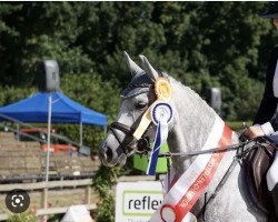 Zuchtstute Top Cinderella NRW (Deutsches Reitpony, 2013, von Top Christobell)