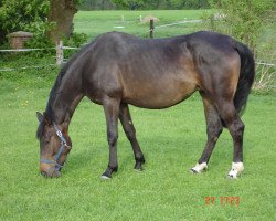 broodmare Lacorunia (Rhinelander, 2005, from Laudabilis)