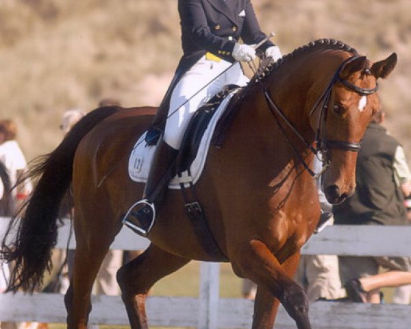 dressage horse Arlino P (Westphalian, 1994, from Arlinus)