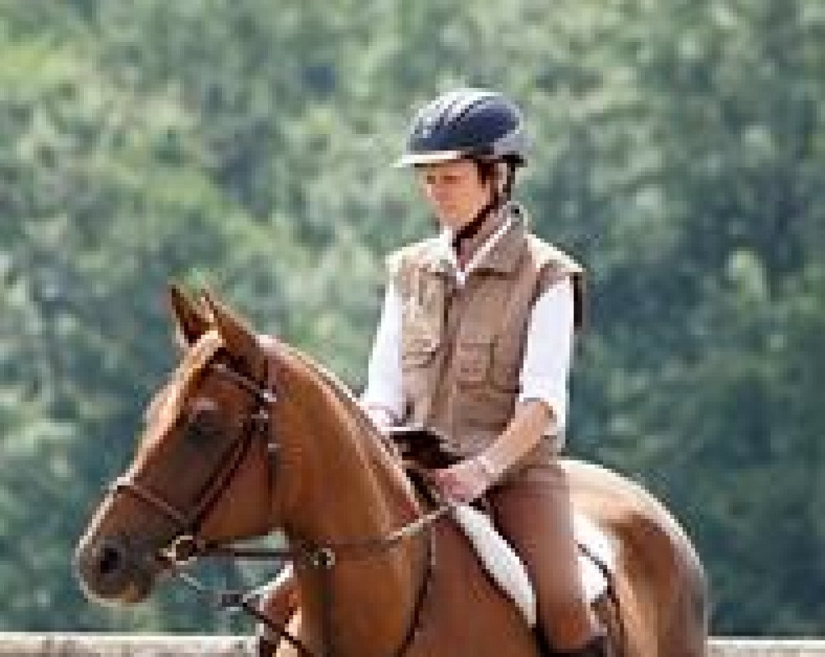 broodmare Damietta II (Arabian purebred, 1995, from Drakon 1985 ox)