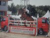 jumper Red & Blu (KWPN (Royal Dutch Sporthorse), 1998, from Marlon)