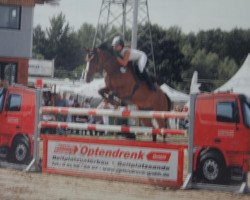 Springpferd Red & Blu (KWPN (Niederländisches Warmblut), 1998, von Marlon)