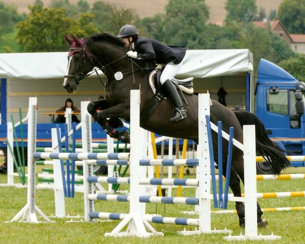 horse Leandro (Holsteiner, 2001, from Latouro)