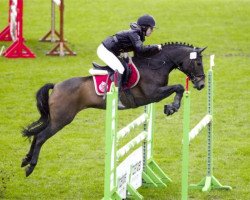 jumper Tinja (German Riding Pony, 2002, from Wimbledon)