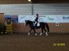 horse Nando (Polish Warmblood, 2004, from Harwest)