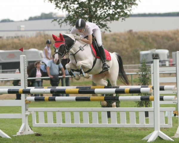 broodmare Penny (German Riding Pony, 1995, from Nightflight)