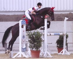 jumper Go for Gold Angel (Trakehner, 2001, from Finley M)