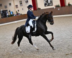 dressage horse Bella Deluxe 2 (Westphalian, 2010, from Belissimo NRW)