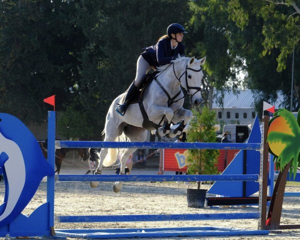 broodmare Fleur (KWPN (Royal Dutch Sporthorse), 2008, from Colman)
