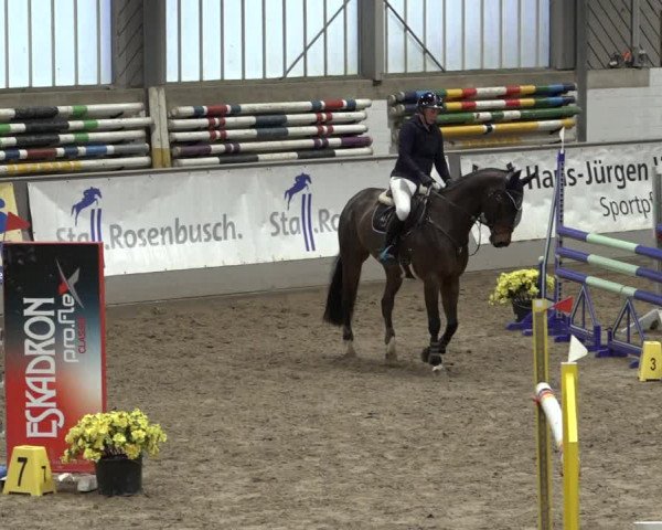 Reitturnier Luhmühlen 2023