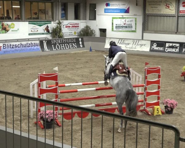 Reitturnier Luhmühlen 2023