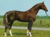 stallion General I (Hanoverian, 1977, from Graphit)