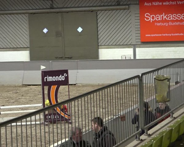 Reitturnier Luhmühlen 2023