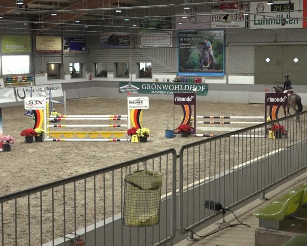 Reitturnier Luhmühlen 2023