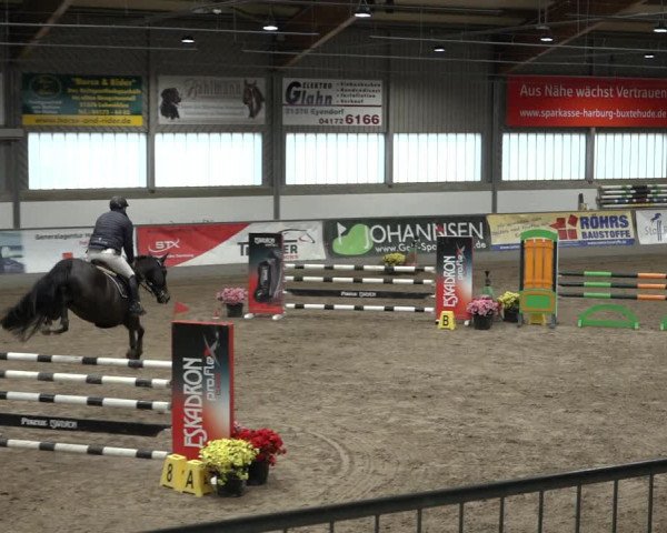 Reitturnier Luhmühlen 2023