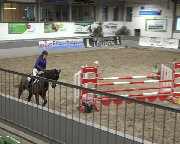 Reitturnier Luhmühlen 2023
