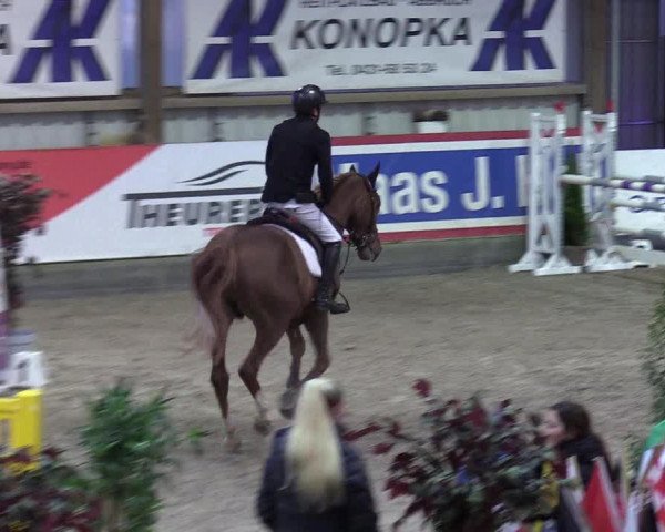 7. Nordic Jumping event Negernbötel 2023