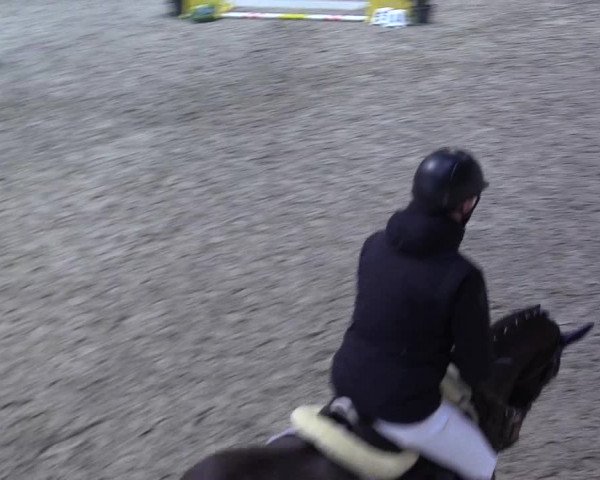 7. Nordic Jumping event Negernbötel 2023