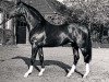 stallion Artwig (Hanoverian, 1974, from Argentan I)