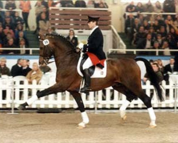 stallion Ehrentusch (Rhinelander, 1984, from Ehrensold)