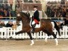 stallion Ehrentusch (Rhinelander, 1984, from Ehrensold)