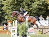 jumper Mountbatten 7 (Hanoverian, 2015, from Métall)