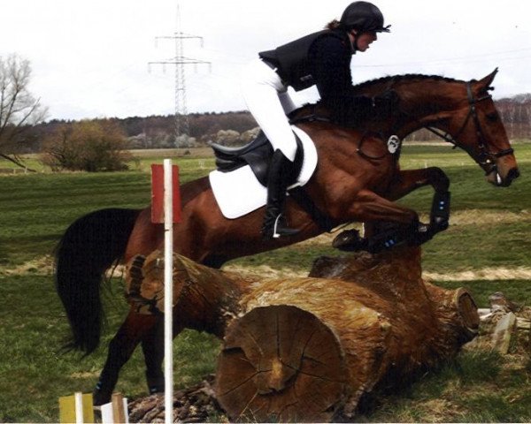 Pferd Escorialblue (Holsteiner, 2001, von Emetyt AA)