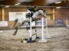 Springpferd C'Est Mon Bébé (Holsteiner, 2015, von Comme il Faut)