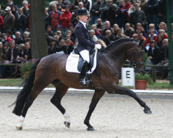 stallion Rohjuwel OLD (Oldenburg, 2004, from Rohdiamant)