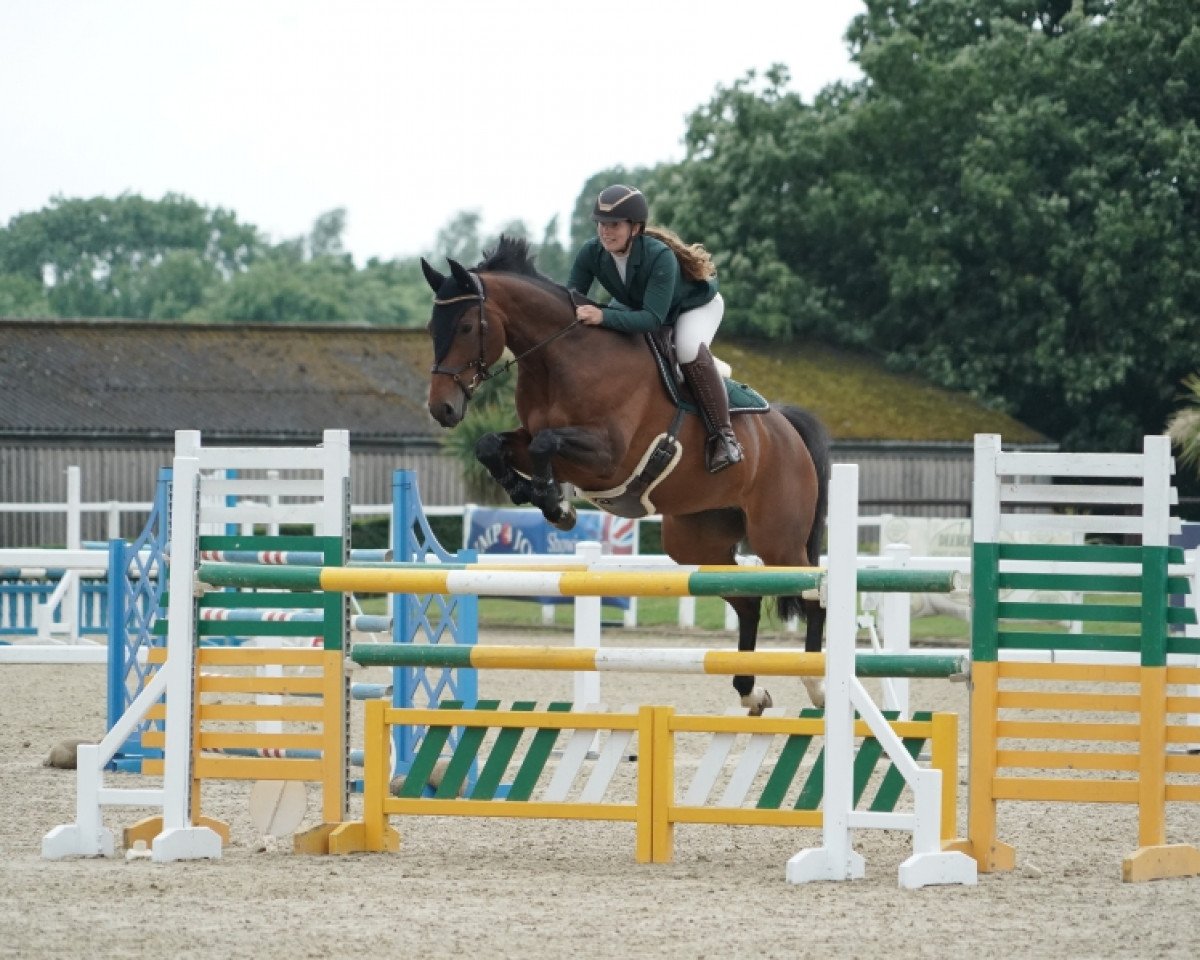 Springpferd Tinkas Rose (Schweizer Warmblut, 2012, von Tinka's Boy)
