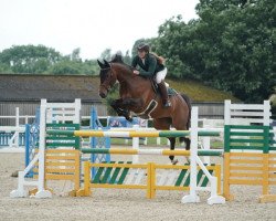 jumper Tinkas Rose (Swiss Warmblood, 2012, from Tinka's Boy)