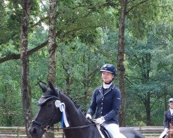 dressage horse Don Pedro 136 (Hanoverian, 2007)