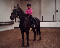 broodmare wienna 55 (Hanoverian, 1989, from Wienerwald)