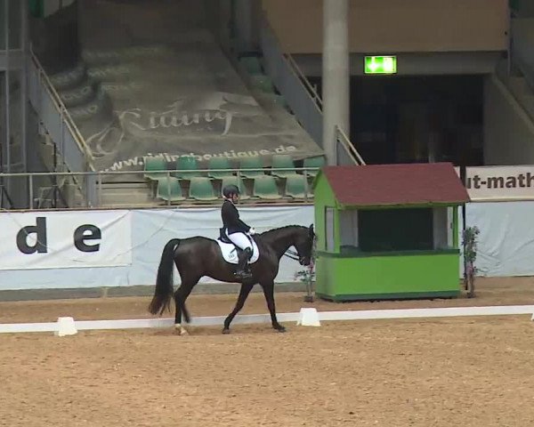 Reitturnier Kreuth 2023