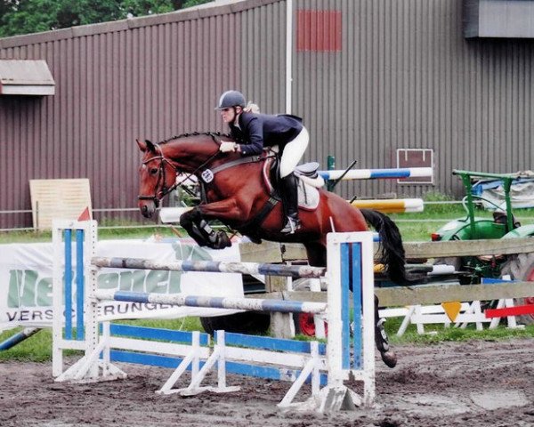 broodmare Estelle (Hanoverian, 2001, from Escudo I)