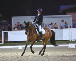 dressage horse Daily Delight SK (German Riding Pony, 2016, from Daily Pleasure WE)