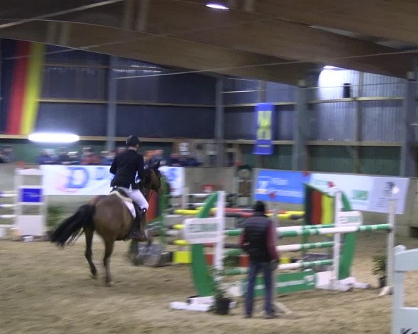 Reitturnier Velen 2023
