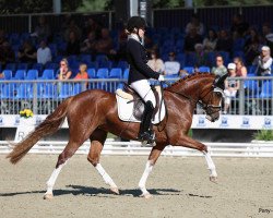 Zuchtstute Gründleinshofs Oh´la´la (Deutsches Reitpony, 2018, von FS Mr. Right)