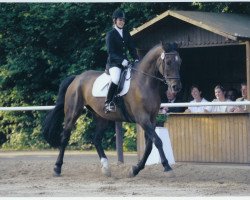 horse Durin (Hessian Warmblood, 1993, from Diego)