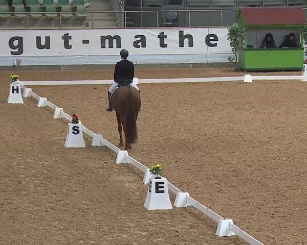 Reitturnier Kreuth 2023