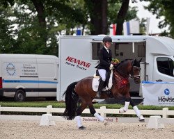 stallion Dein Glück 5 (German Riding Pony, 2019, from Dallmayr K)