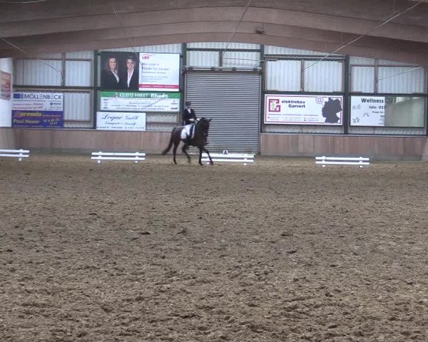 Reitturnier Rhede 2023